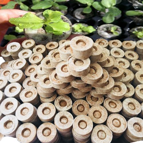 10 Viên Nén Ươm Hạt Bằng Mùn Dừa Đã Được Xử Lý , Bổ Sung Men Vi Sinh và Chất Dinh Dưỡng Hữu Cơ