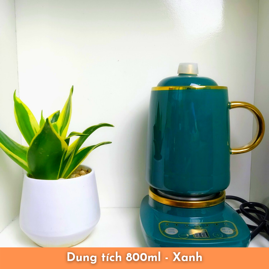 Cốc chưng yến - Cốc văn phòng - Cốc hầm đa năng
