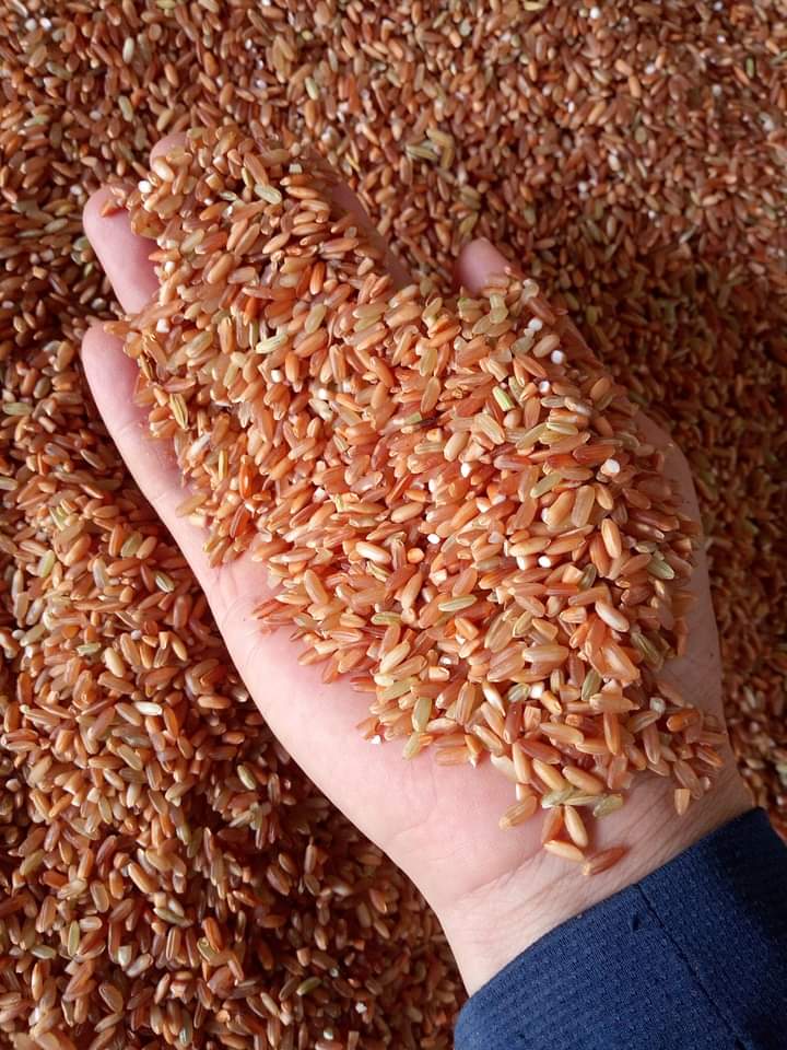 Gạo lứt đen dẻo (Đặc sản Điện Biên thơm ngon)