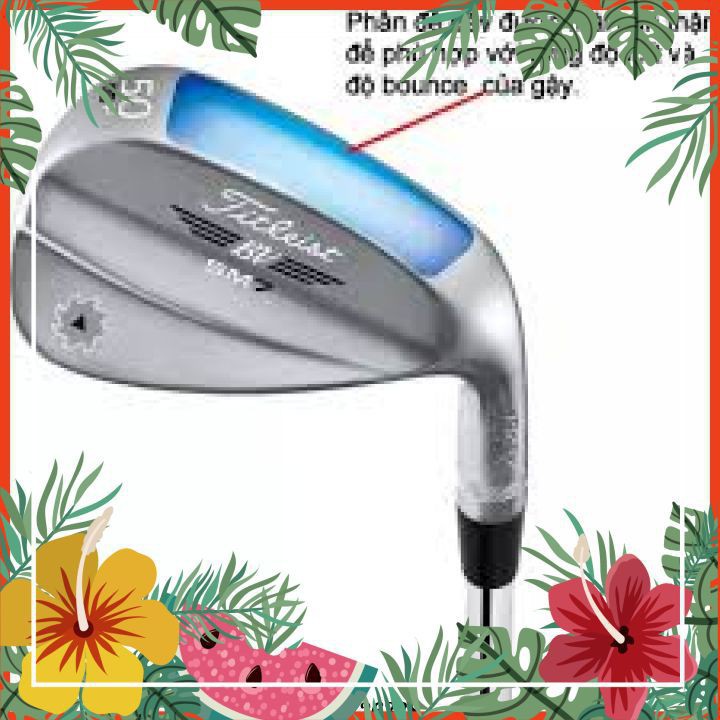 Gậy Golf  Kỹ Thuật