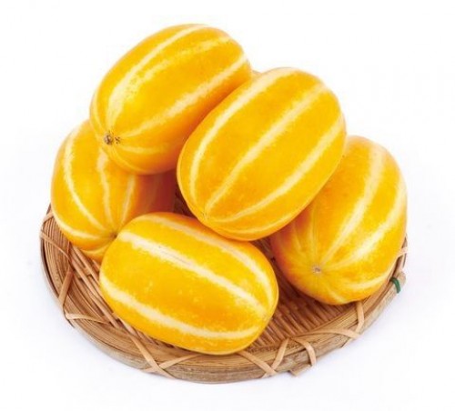 Hạt giống dưa lê hàn quốc 20 hạt