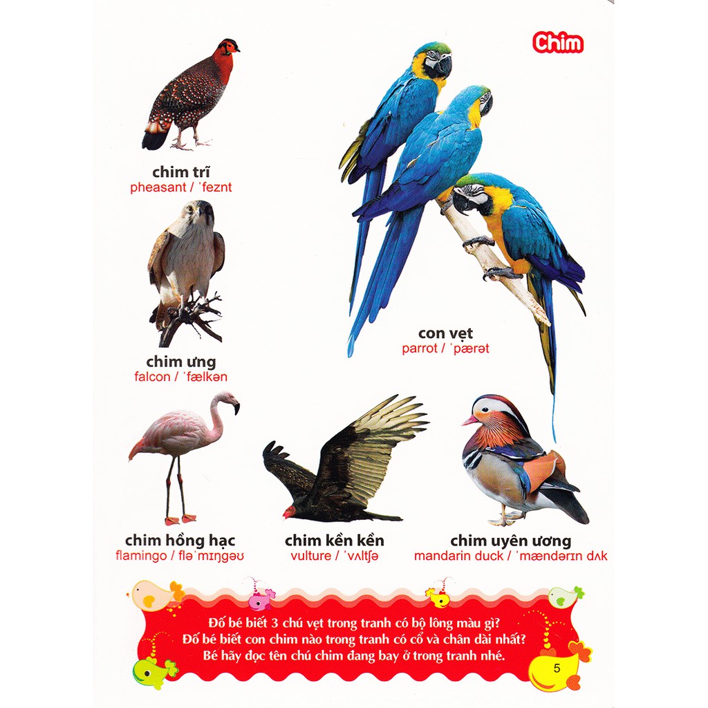 Sách- Từ Điển Tranh Về Các Con Vật (ML)