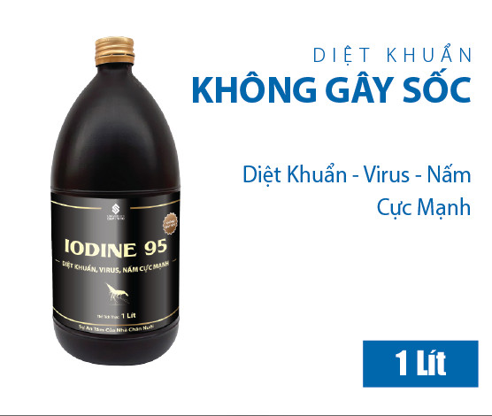 iodine 95 ( diệt khuẩn, nấm , virus ) chai 1 lít