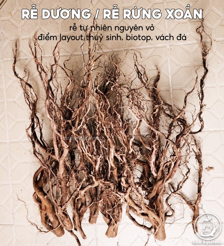 Lũa rễ dương - rễ rừng xoắn nguyên vỏ | trang trí - setup layout bể thuỷ sinh, biotop, pleco...