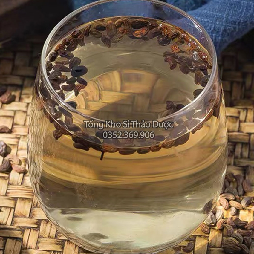 Nữ Trinh Tử 100g