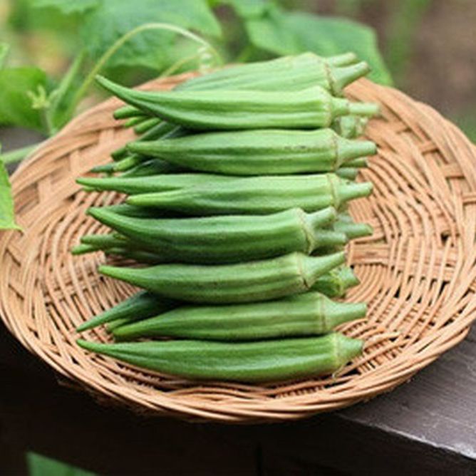Hạt Giống Đậu Bắp Xanh Cao Sản (20gr)