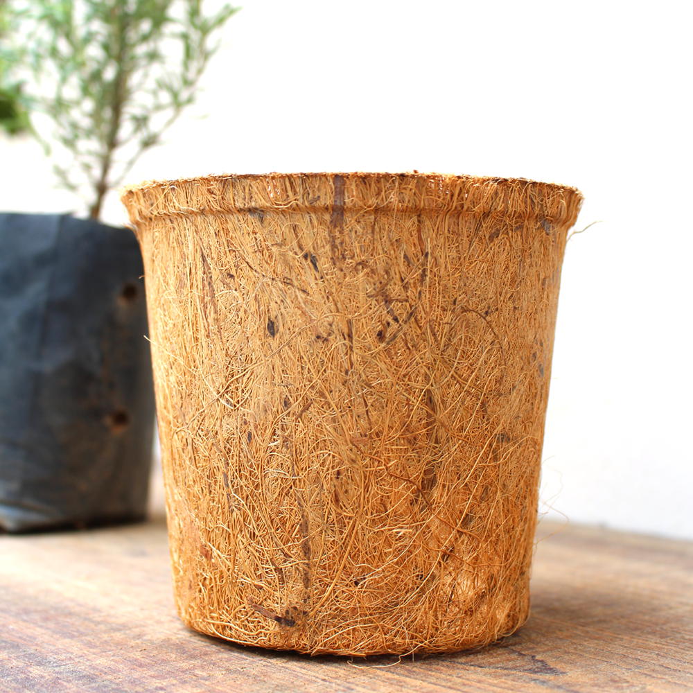 Chậu Xơ Dừa tự nhiên 12x11.3cm