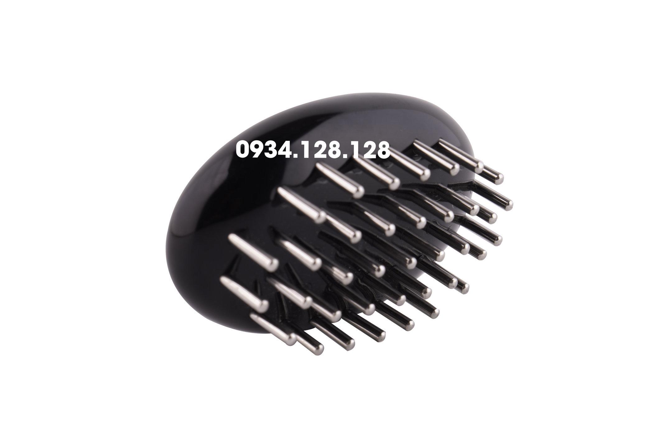 Con bọ lớn Diện Chẩn