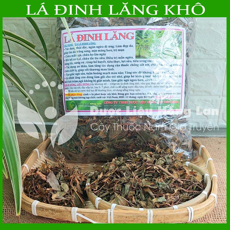 Combo 2kg lá cây đinh lăng khô sạch - công ty dược liệu hồng lan