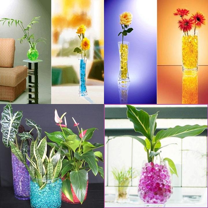 Hạt nở trân châu, hạt tinh thể trồng cây