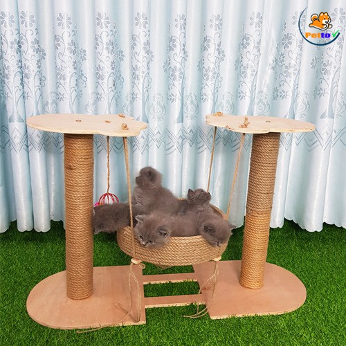 Trụ Cào Móng Cho Mèo Có Xích Đu CT011