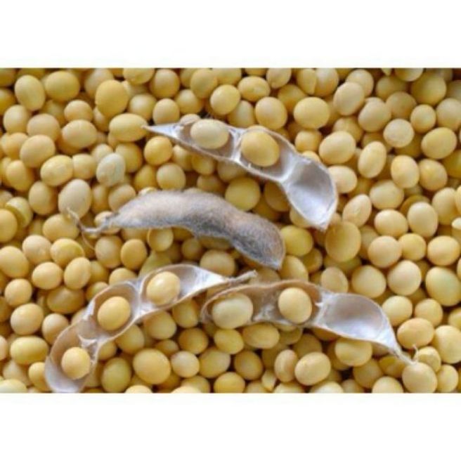 Sỉ toàn quốc 1kg hạt đỗ tương