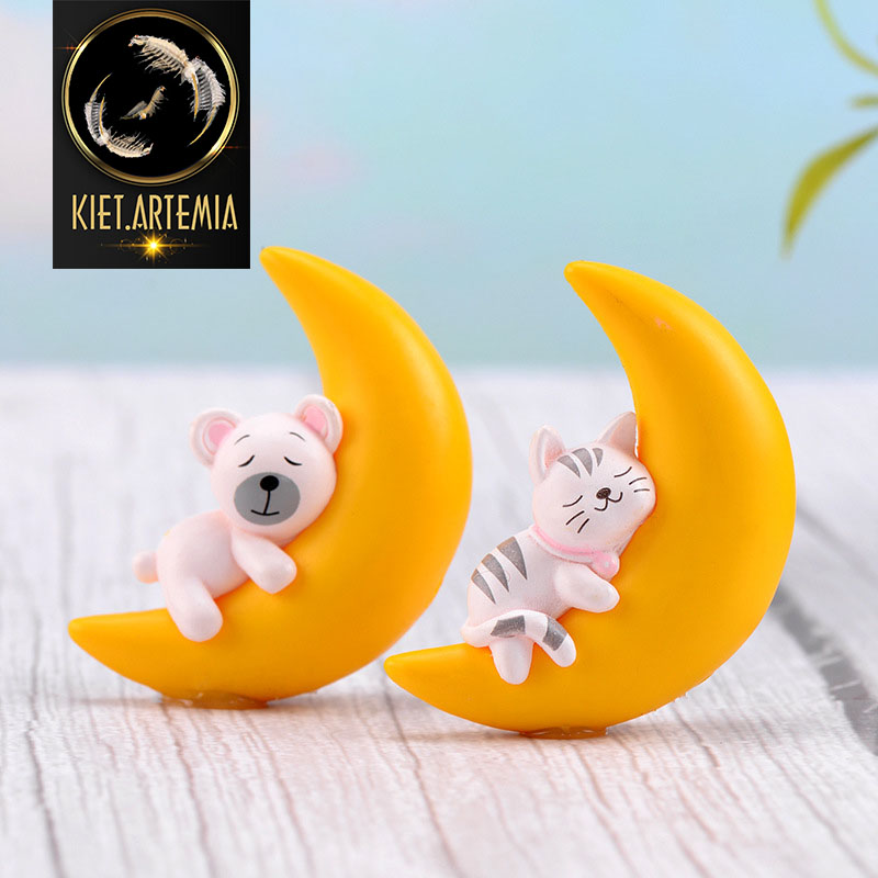 trang trí bể cá, mô hình thả nổi bể cá thú ôm trăng