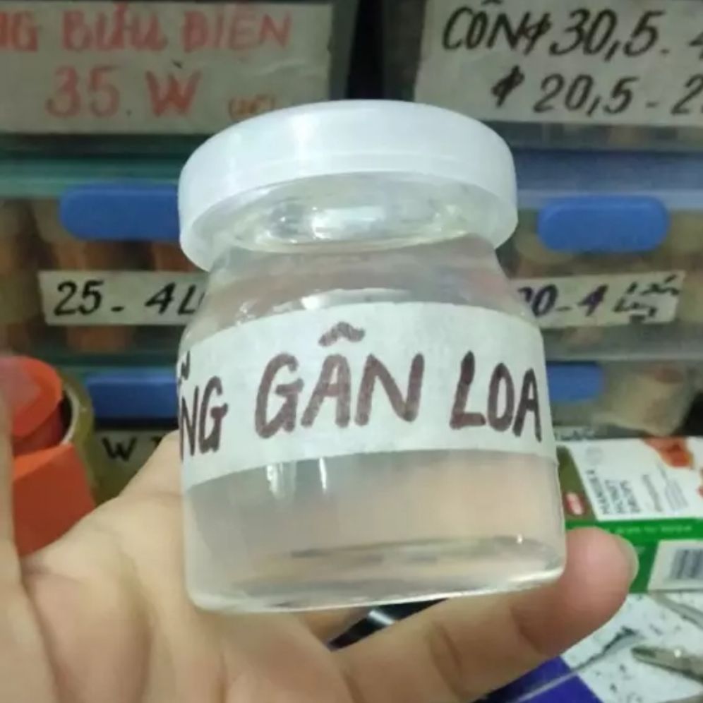 keo dương gân loa tốt