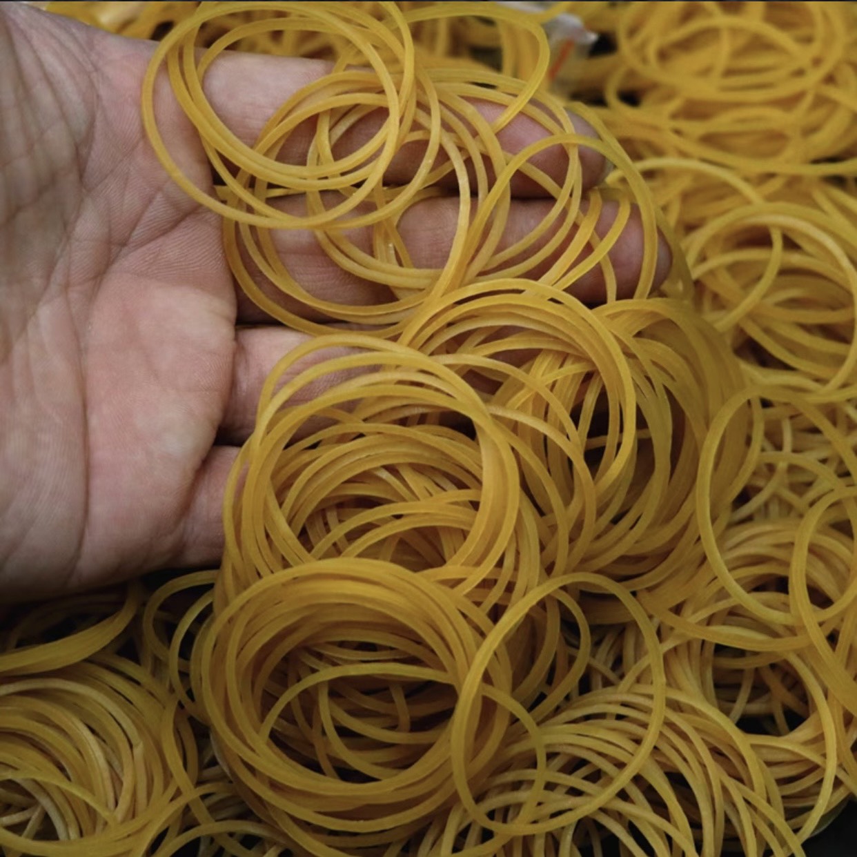 500 gam dây chun vòng, dây nịt buộc, chun nịt, dây thun cột