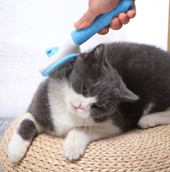 Lược Chải Lông Có Nút Bấm Đẩy Lông