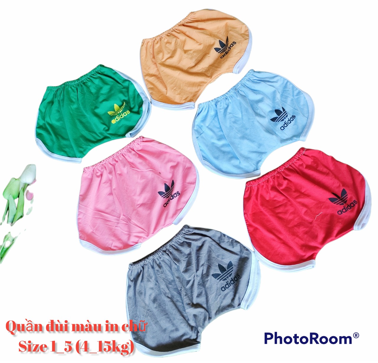 SET 10 QUẦN ĐÙI ĐỦ MÀU IN CHỮ CHO BÉ