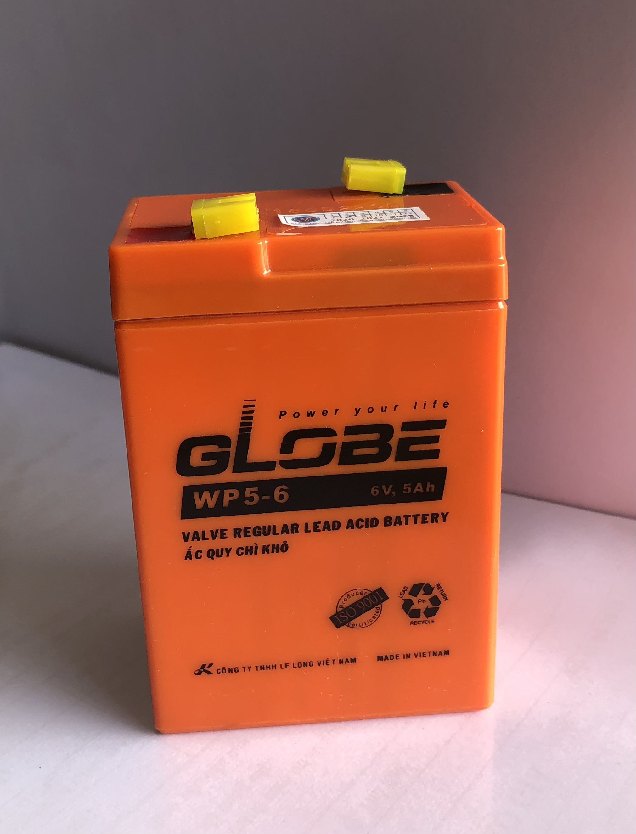Ắc quy khô Globe WP5 - 6 6V - 5Ah dùng cho đèn sạc, quạt sạc, cân điện tử
