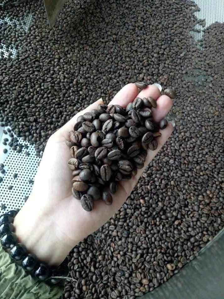 Cà phê đăk lăk