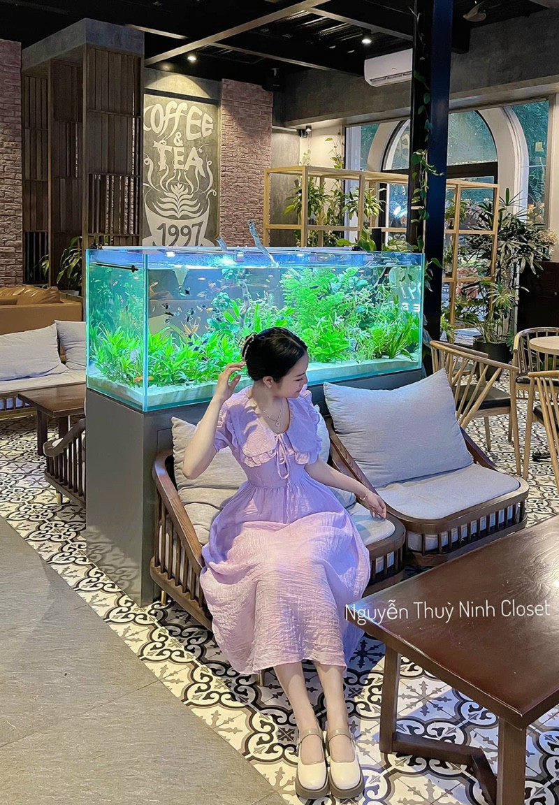 đầm cổ bèo cột nơ xinh xắn
