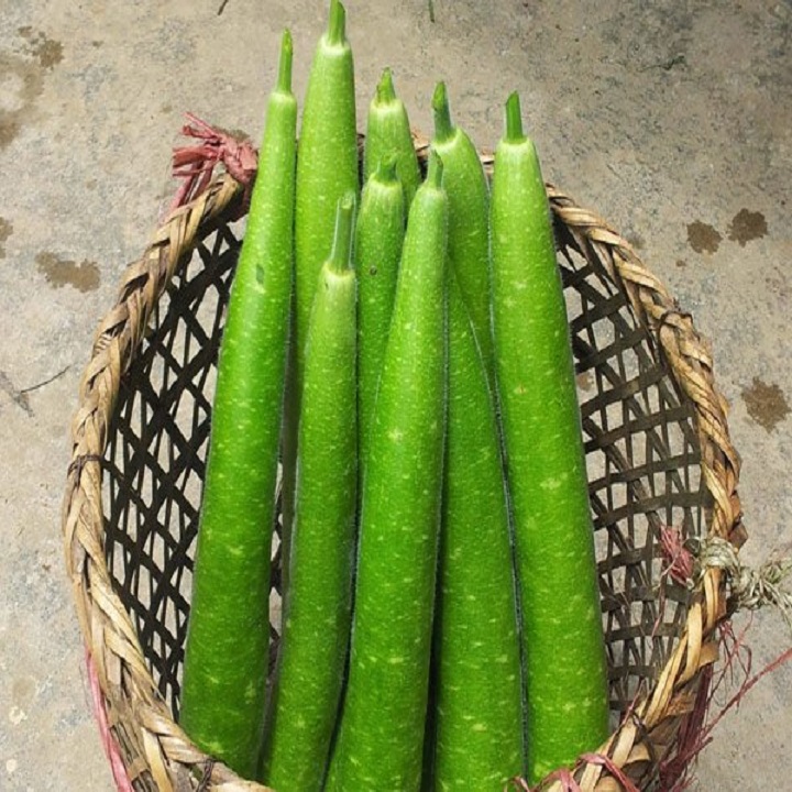 Hạt giống Bầu Sao quả dài cao sản