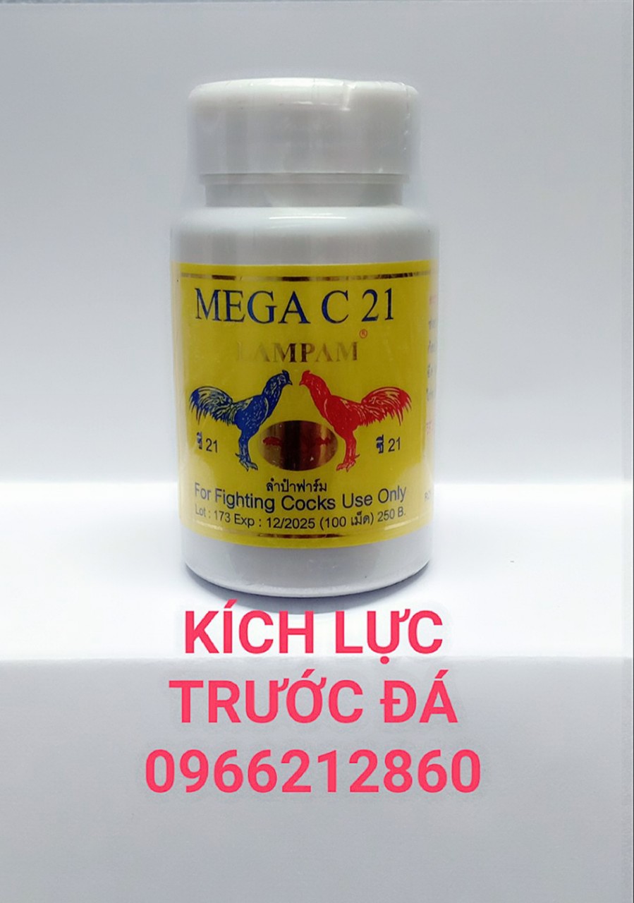 KÍCH LỰC TRƯỚC ĐÁ MEGA C21