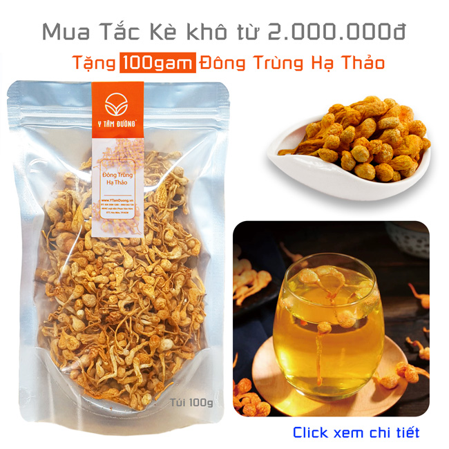 Tắc kè khô thượng phẩm - 1cặp gồm 2con