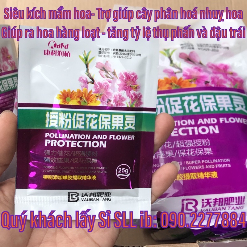Siêu kích hoa