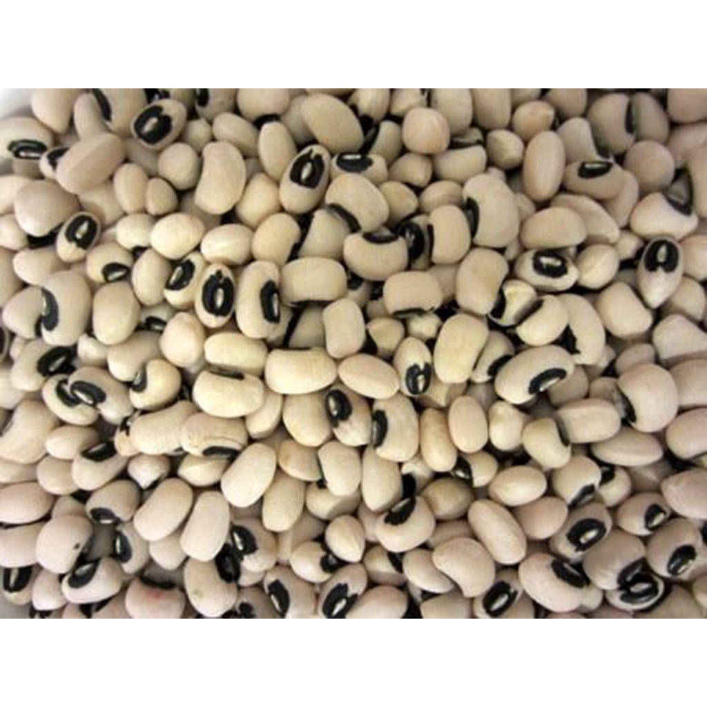 FREESHIP MAX -Đậu trắng( đậu sạch nhà vườn) 1kg- VƯỜN ƯƠM EAKMAT TÂY NGUYÊN