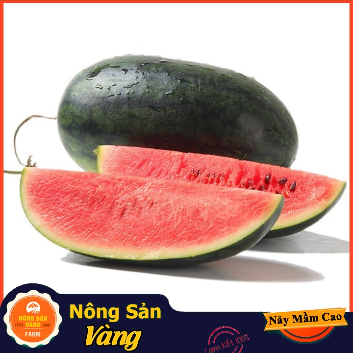 Hạt giống Dưa Hấu Vỏ Xanh Đen, Sọc Mờ, Siêu Ngọt, Ít Hạt (Gói 20 Hạt) - Nông Sản Vàng