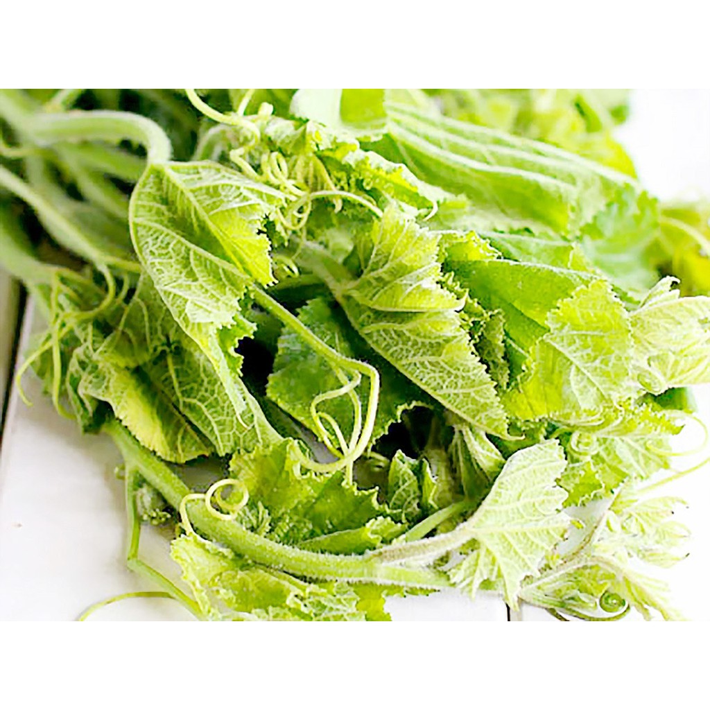 Hạt Giống Bầu Siêu Ngọn (ECO.414)