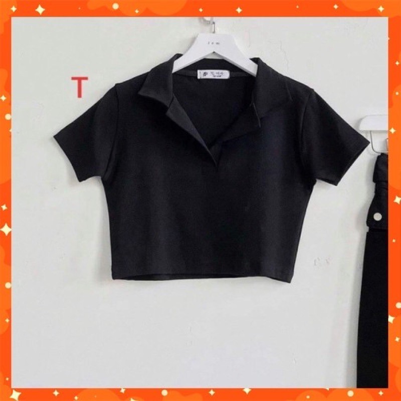 [HCM]Áo polo croptop áo cổ trụ trơn