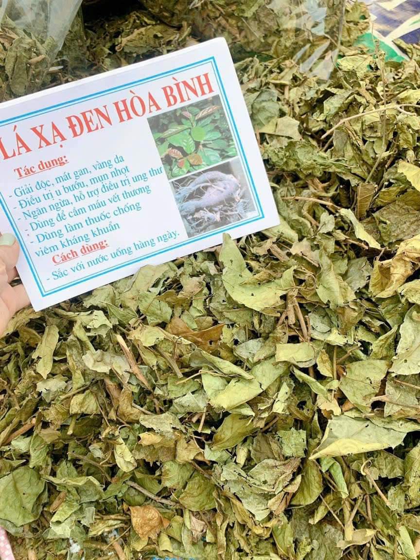 (Dược liệu khô) Cây Xạ đen phơi khô 500g