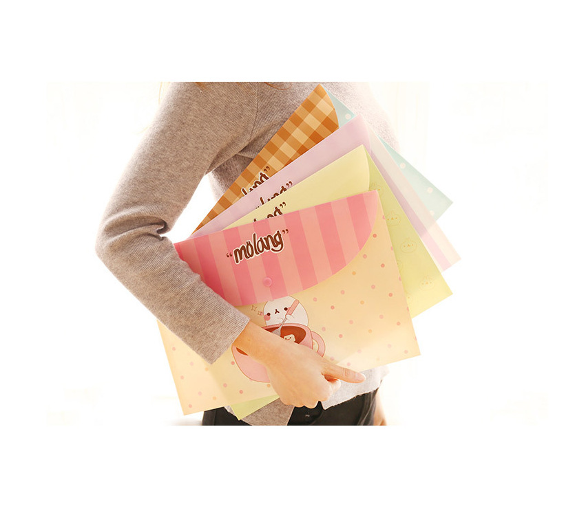 Túi đựng tài liệu A4 Molang