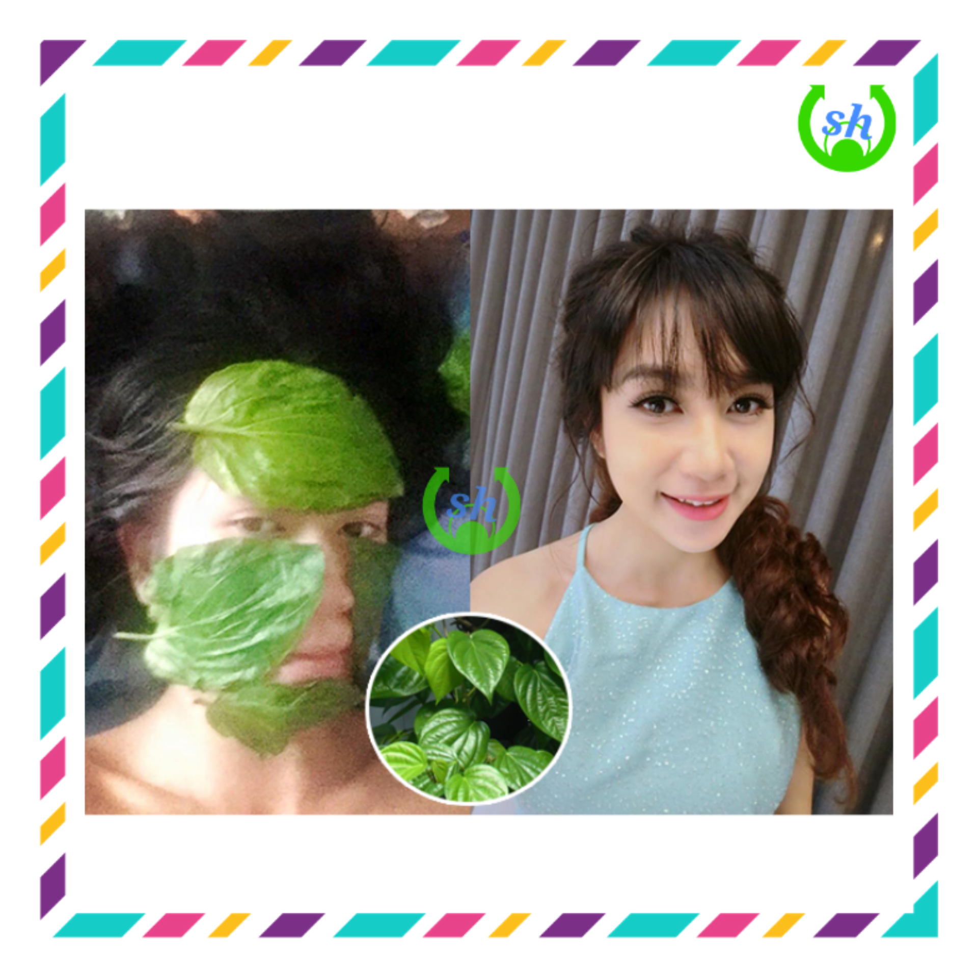 [HCM]Bếp hơ lá trầu cho bé - hơ mặt cho mẹ