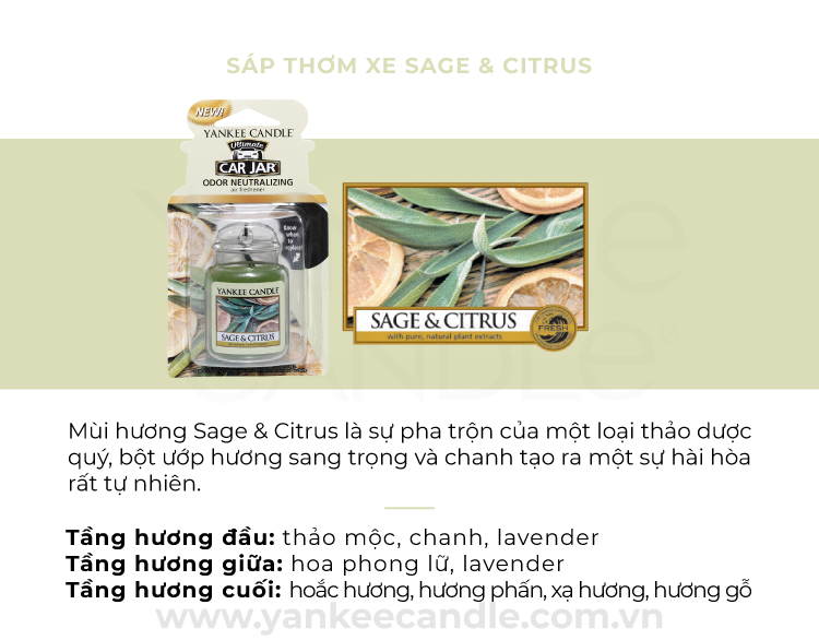 Sáp thơm xe Yankee Candle - Sage & Citrus