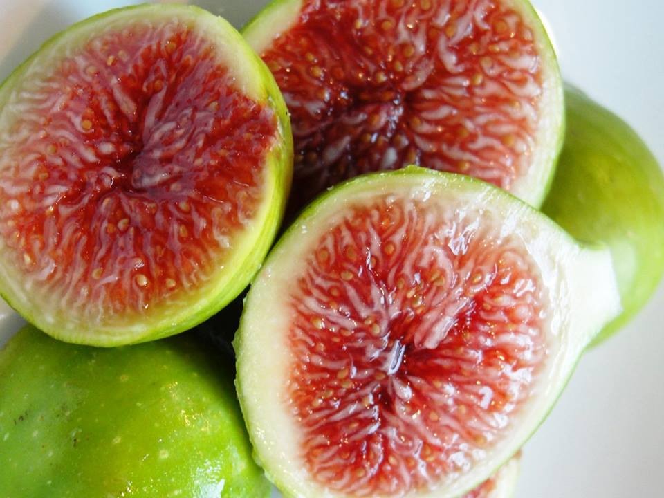"Gói 10 Hạt " Hạt giống Sung ngọt Mỹ ( sung ngọt )