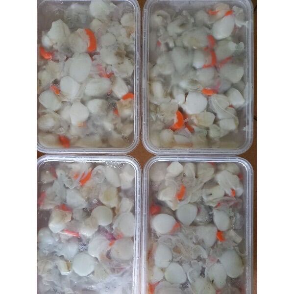 Còi sò điệp việt nam hộp 500gr (giao tphcm)
