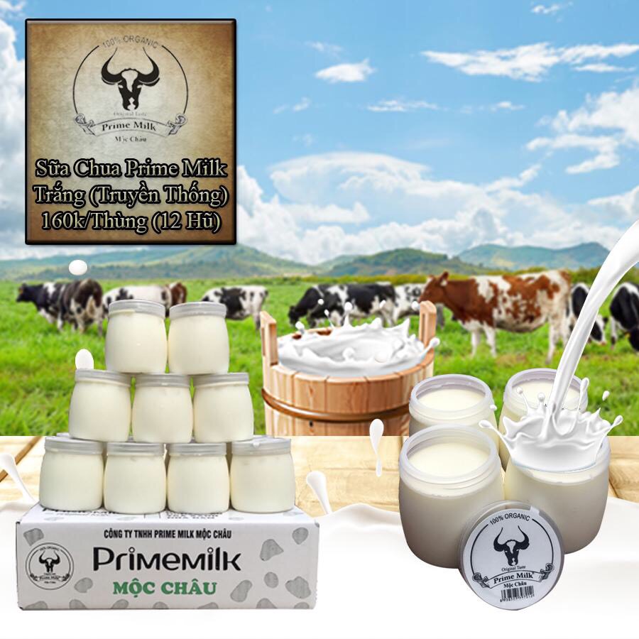 Sữa chua Prime Milk Mộc Châu