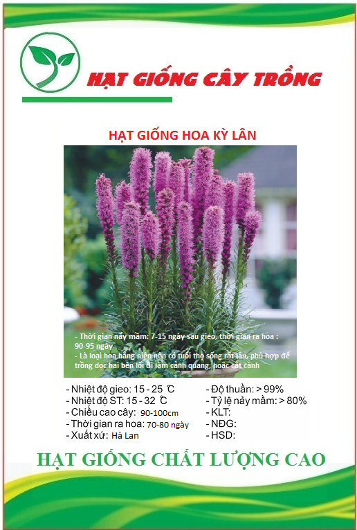 Hạt giống hoa kỳ lân tím ct257 - gói 20 hạt