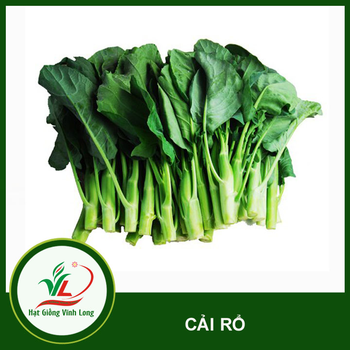Hạt giống Cải Rổ RD 305 - 5g