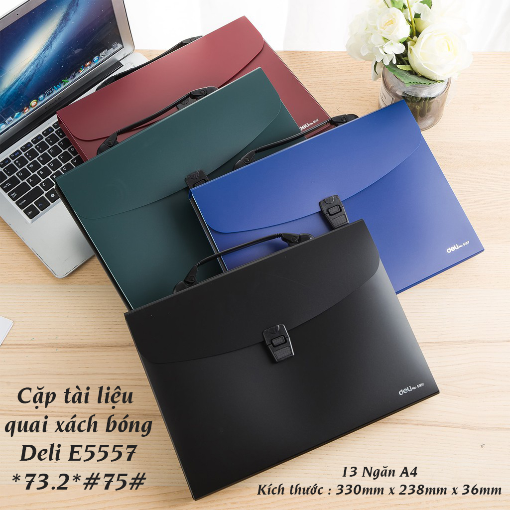 Cặp tài liệu quai sách bóng a4 13p deli - e5557