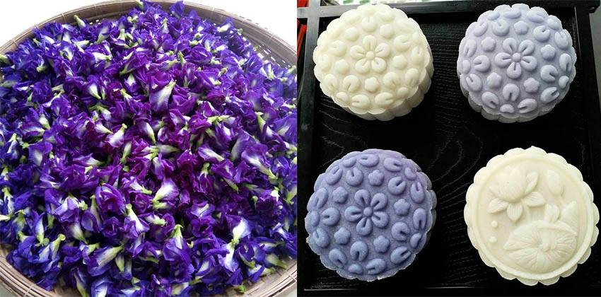 [HCM]Hoa đậu biết khô - túi 100gram