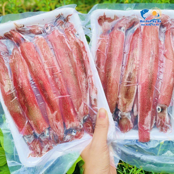 [GIAO NHANH 2H HCM] Giá Sỉ 1Kg Mực Ghim Trứng 12up