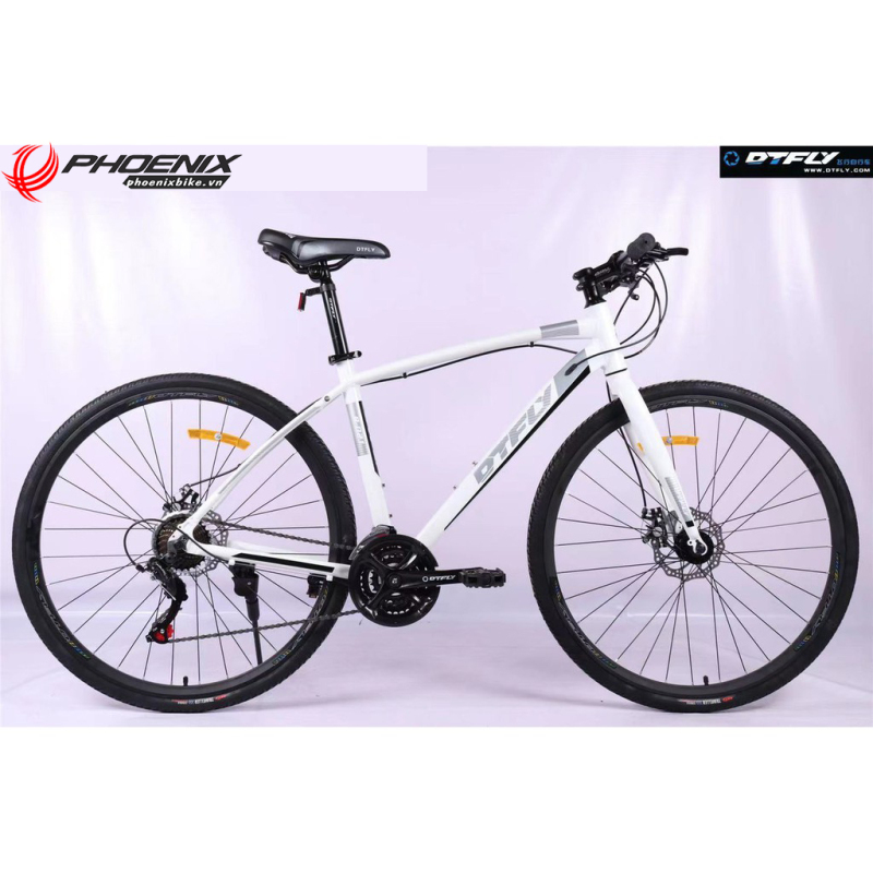 Mua [Phoenixbike.vn] Xe đạp 700C DTFLY R-021 rẻ