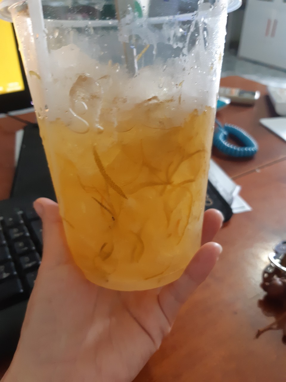 tắc xí muội nhà làm keo 1kg