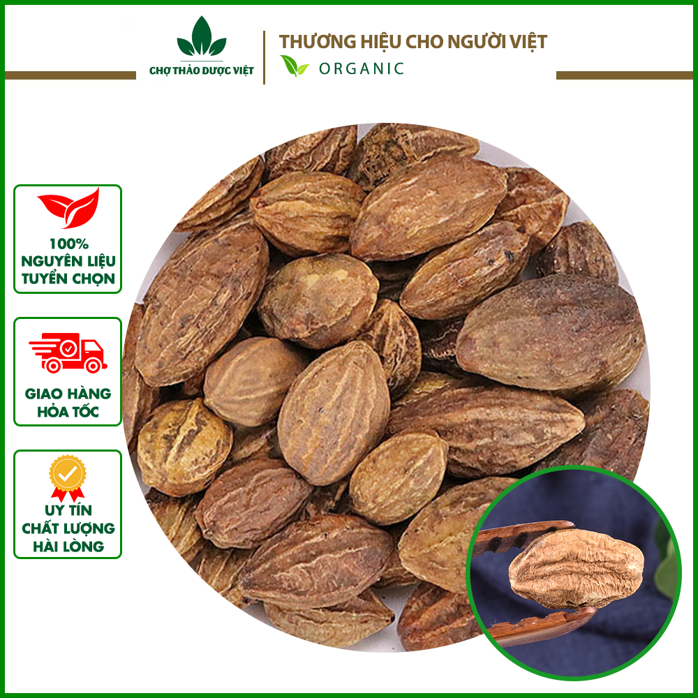 100g Quả Kha Tử (Giảm Ho Hiệu Quả)