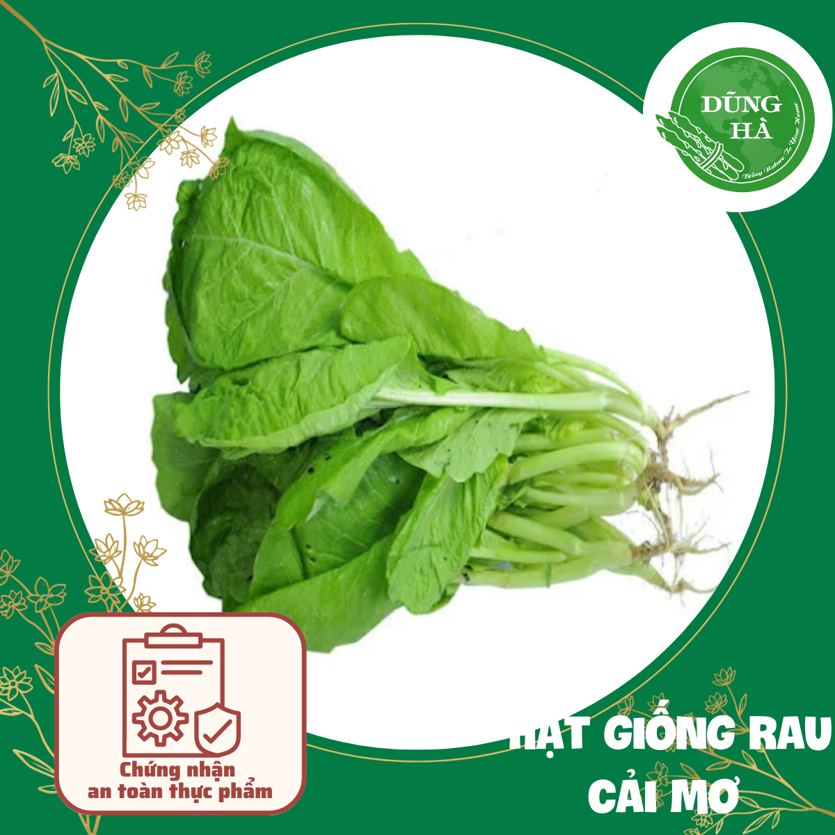 Hạt giống Cải mơ gói 10g