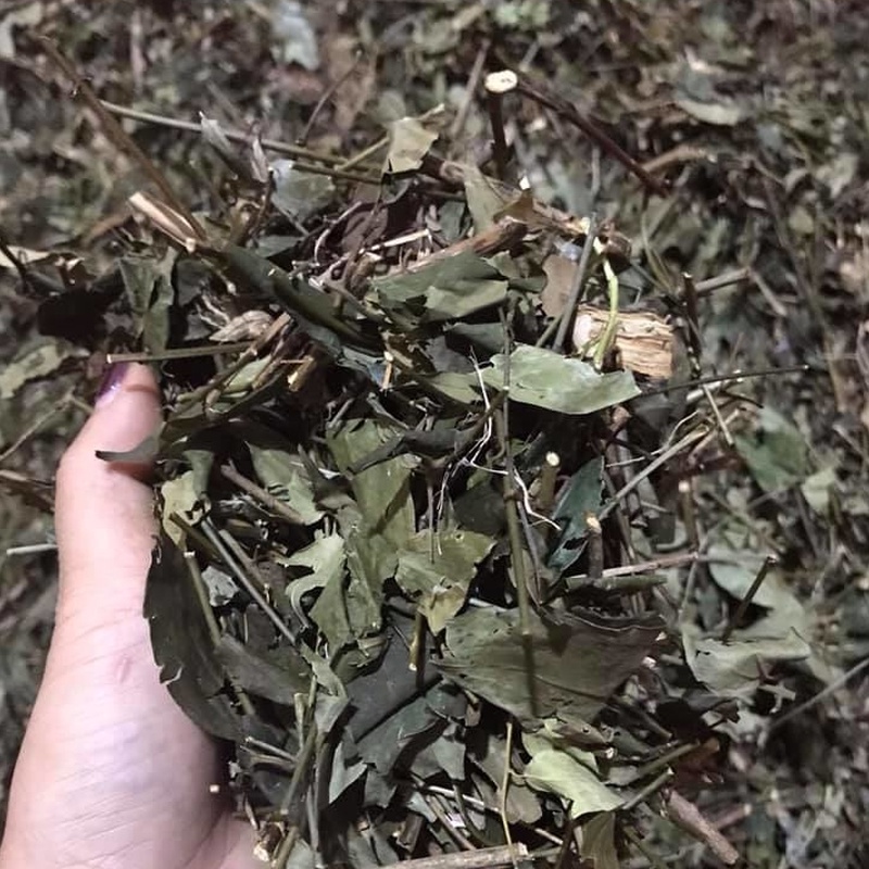 Chè Vằng Sẻ [1KG] Lợi sữa, giảm cân