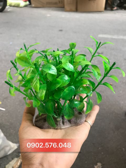 [HCM]Cây nhựa trang trí hồ cá nhỏ
